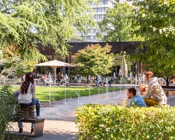 Blick auf den grünen Campus der SRH Hochschule Heidelberg